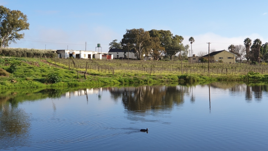 Commercial Property for Sale in Paarl Rural Western Cape